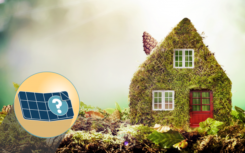 5 Ways to Make Your Home More Eco-Friendly